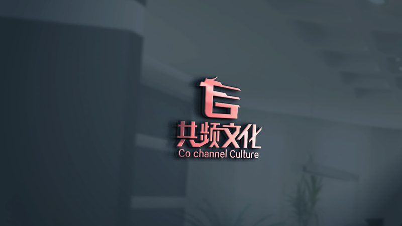 代理记账与全职会计：文化传媒公司财务管理的两大选择**