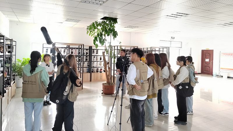 品牌策划与设计报价：揭秘背后的逻辑与考量