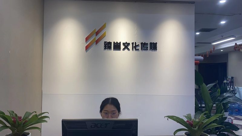 VI设计：揭秘收费标准和时间背后的逻辑